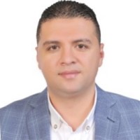 Mohamed Amr Email