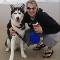 Tamman, Inc. Employee Andrea Catoia's profile photo