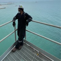 DELIMAX PTE LTD Employee Rico Sitorus's profile photo