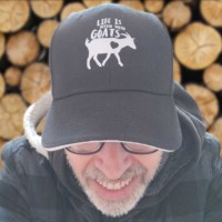 Hardware Upgrade Employee Davide Pozzi's profile photo