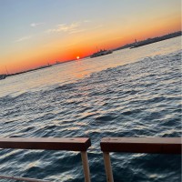 Naghmeh Samini Email