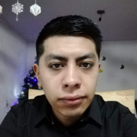 Luis Flores Álvarez Email