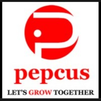 Pepcus Software Services Pvt. Ltd. Employee Manish Jain's profile photo
