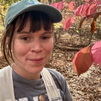 Brown University Library Employee Cass Wilkinson Saldaña's profile photo