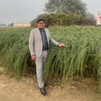 Saurabh Goyal Email