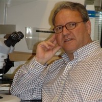 Indiana University School of Medicine Employee Bernhard Maier's profile photo