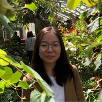 Sindy Wang Email