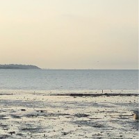 HSBC Asset Management Employee James Gavin's profile photo