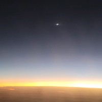 Guardiar Employee Damion Partin's profile photo