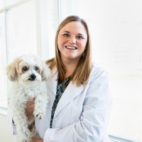 Parkview Animal Hospital Employee Haley Veigel's profile photo