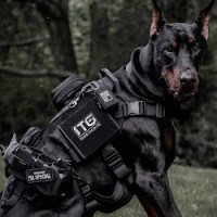 Make Ready Residential Employee Mateo Grajales's profile photo