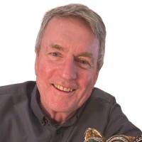 Terry Sweeney