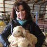 Lisa Surber
