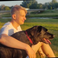 Jan-David Wiederstein's profile photo