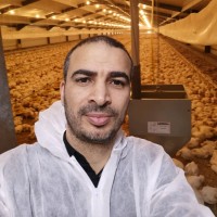 AL JAZEERA AGRICULTURE CO. Employee Imad Mashayekh's profile photo