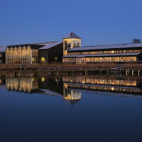 X Marketing's profile photo