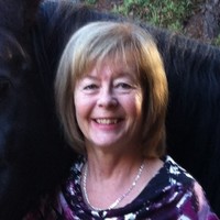 Virtual Instruments Employee Jean Dolan's profile photo