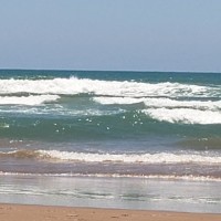 Lykes Cartage Company Employee Meredith Normann's profile photo