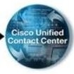 Netisomer Employee Ucce Cvpi's profile photo