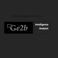 INTELLIGENCE ANALYSIS, INC Employee Geb Analysis's profile photo