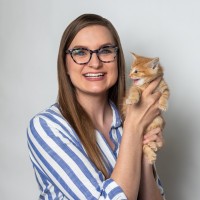 Valley of the Sun United Way Employee Katie Frederick's profile photo