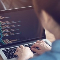 Tara Sharma Email & Phone Number