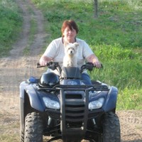 Lyn Boyle Email & Phone Number