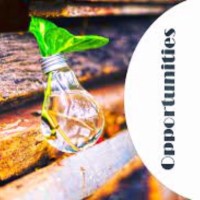 Tech Manos Employee Jaya Agarwal's profile photo