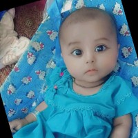 START International Employee Muhammad Tahir's profile photo