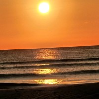 Buc-ee's, Ltd. Employee Scott Ferguson's profile photo