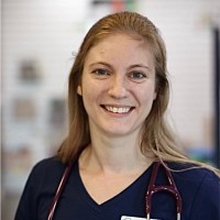 Dumfries Animal Hospital Employee Daria Olinger's profile photo