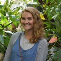 Design Dimension, Inc. Employee Miranda Green's profile photo