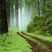 Bloodcenter of Wisconsin Employee Ted Boyer's profile photo