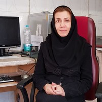 Soil Testing & Engineering, Ltd. Employee Fereshteh Razmi's profile photo