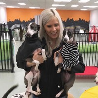 Dogcity Daycare Employee Alex Argenio's profile photo