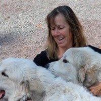 Golden Retreat For K9s Employee Donna McConn's profile photo