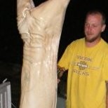 Morrison Employee Thomas Spear's profile photo