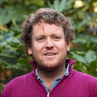 Jetpack.AI Employee Gautier Krings's profile photo