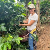 Sucafina Employee Felice Chay's profile photo