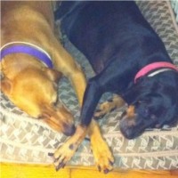 Tracy Kilpatrick Email & Phone Number