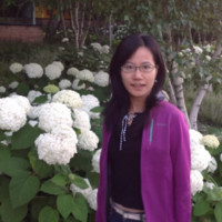 Nan Chen Email & Phone Number