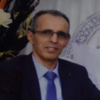 LPS Architecture&Gestion Inc. Employee Kamel Ouldfella's profile photo