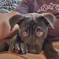 APL Employee Curtis Adams's profile photo