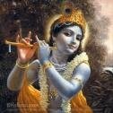 Chubb Employee Krishna V's profile photo