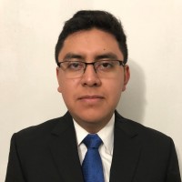 Kiwi Networks Employee Leopoldo Flores Palacios's profile photo
