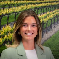 Sofia Kolkka's profile photo