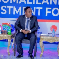 Tiroler Tageszeitung Employee Mohamed Omer's profile photo