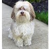 DOCS Dermatology Employee Nicky Benson's profile photo