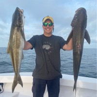 Suncoast Beverage Sales Employee Matt Reed's profile photo