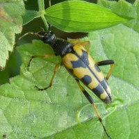 SLR Consulting Employee Andy Law's profile photo